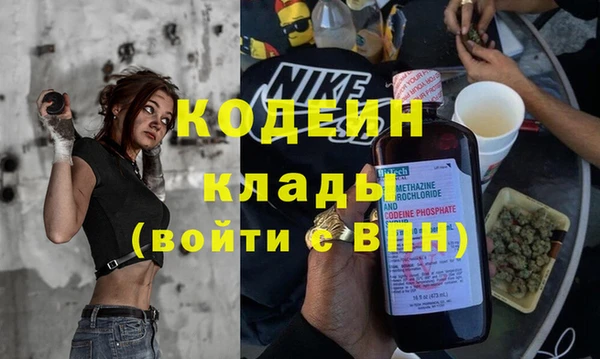 дурь Арсеньев