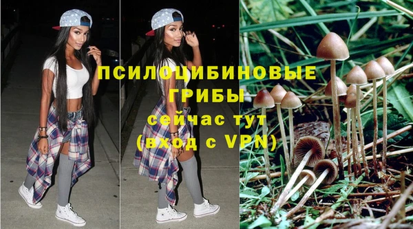 дурь Арсеньев